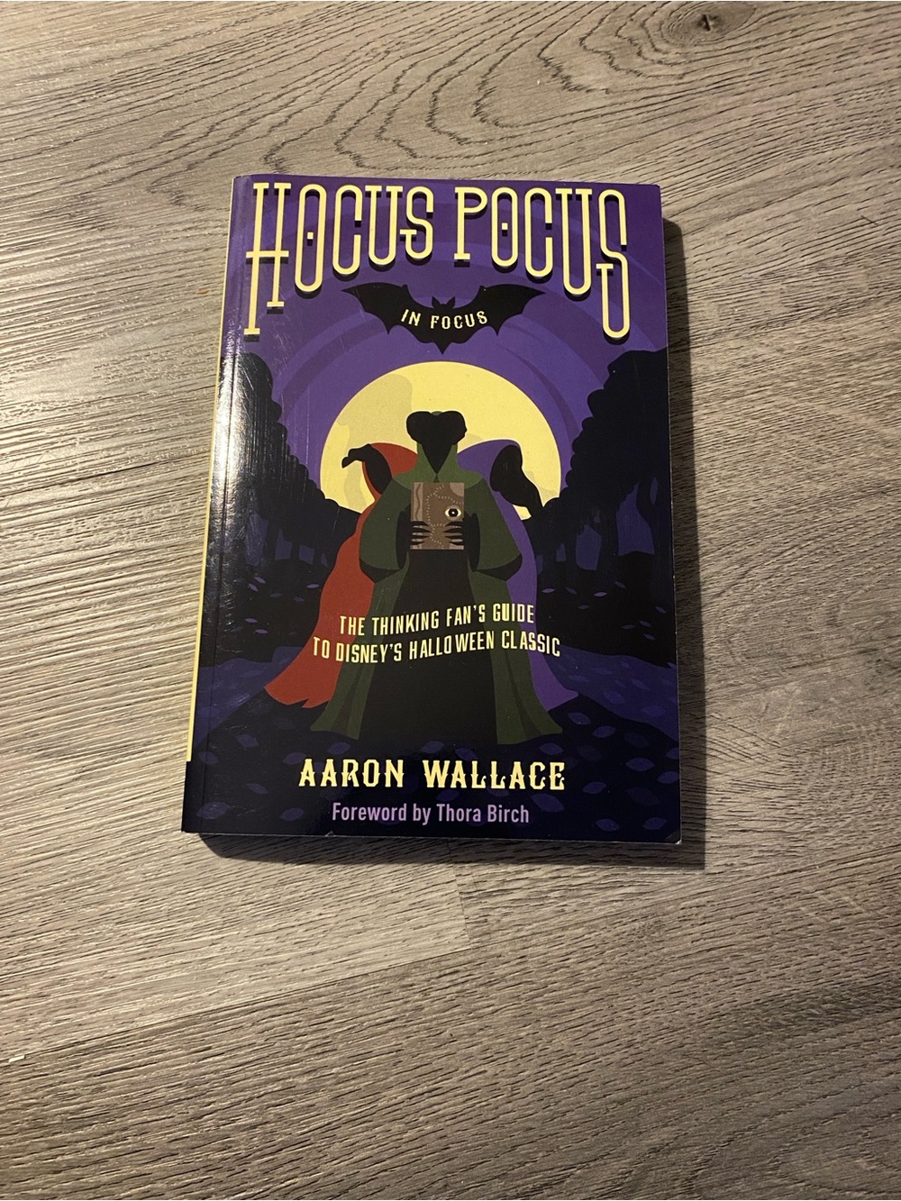 Hocus Pocus in Focus - The Thinking Fans Guide